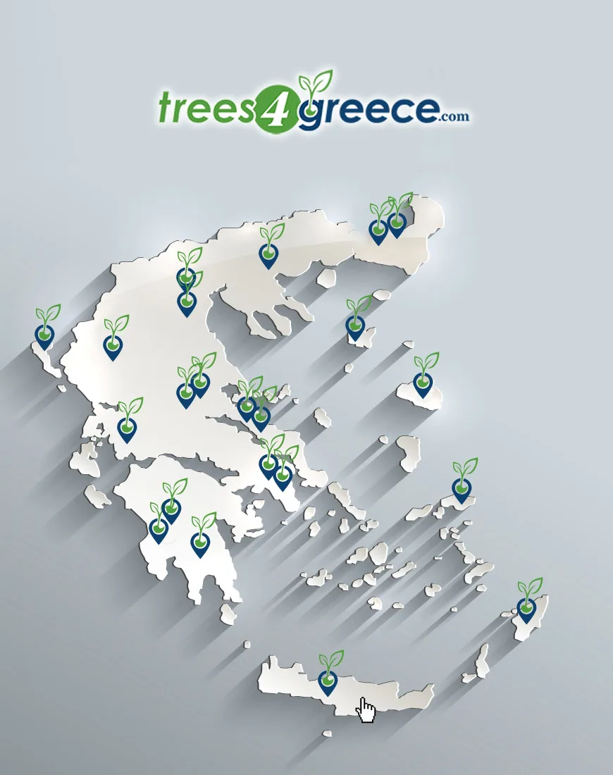 ΔΩΡΕΑ